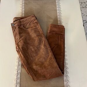 American Eagle Brown Velvet Jegging